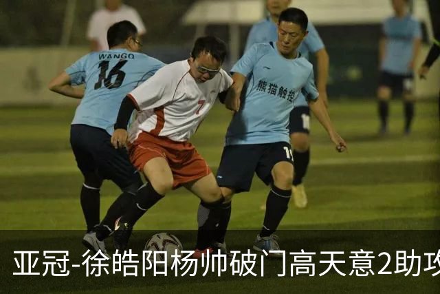 亚冠-徐皓阳杨帅破门高天意2助攻 申花2-1淡滨尼流浪者